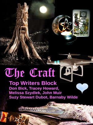 cover image of The Craft